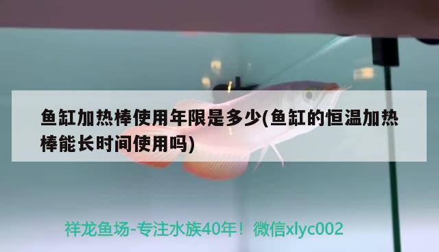 魚缸加熱棒使用年限是多少(魚缸的恒溫加熱棒能長時間使用嗎)