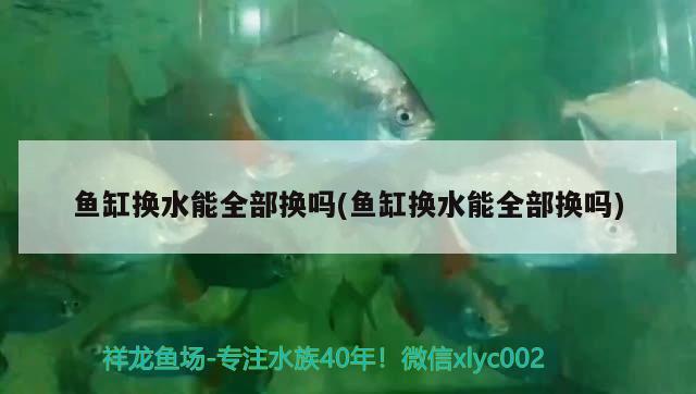 魚缸換水能全部換嗎(魚缸換水能全部換嗎)