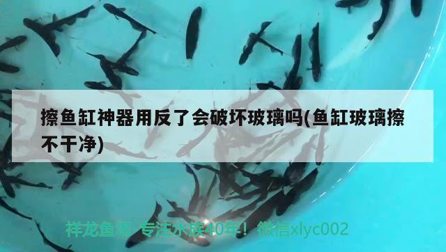 赤峰魚缸維護(hù)（呼和浩特魚缸維修）