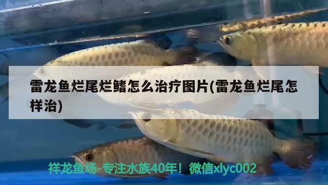 長(zhǎng)治二手魚缸轉(zhuǎn)讓最新信息：長(zhǎng)治二手魚缸轉(zhuǎn)讓最新信息電話 廣州水族批發(fā)市場(chǎng) 第2張