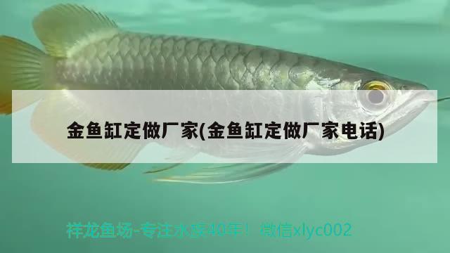 金魚缸定做廠家(金魚缸定做廠家電話) BD魟魚