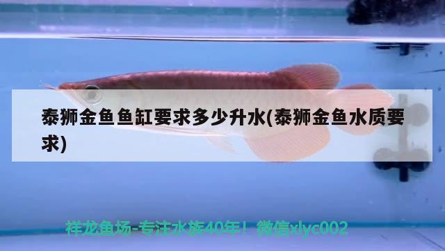 泰獅金魚(yú)魚(yú)缸要求多少升水(泰獅金魚(yú)水質(zhì)要求)