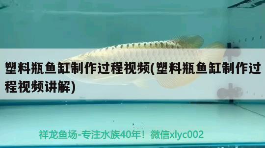 金龍魚集團旗下品牌：金龍魚集團旗下公司