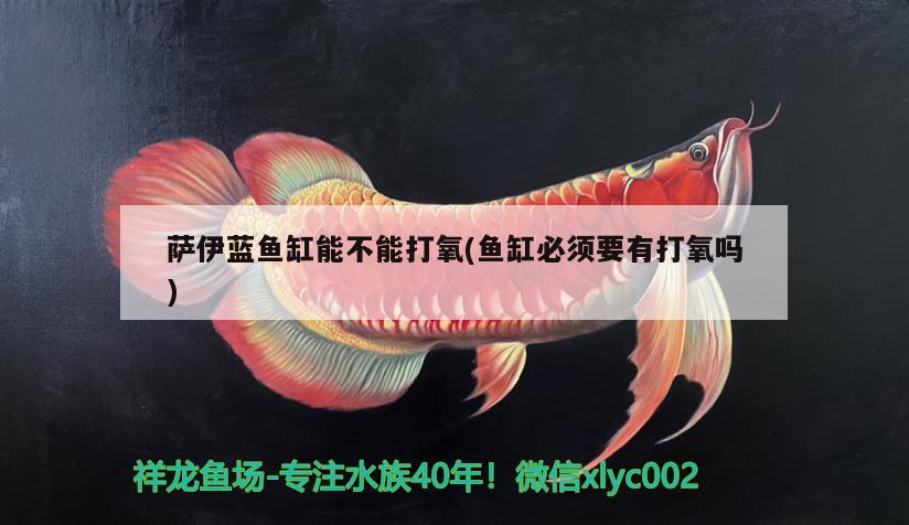 魚(yú)缸里的水放多長(zhǎng)時(shí)間可以放魚(yú)（魚(yú)缸里的水放多長(zhǎng)時(shí)間可以放魚(yú)了）