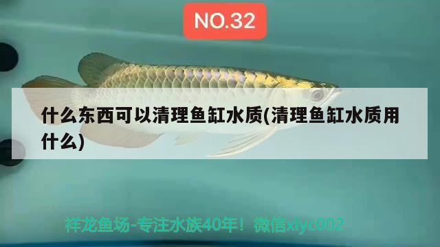 魚(yú)缸里的水放多長(zhǎng)時(shí)間可以放魚(yú)（魚(yú)缸里的水放多長(zhǎng)時(shí)間可以放魚(yú)了）