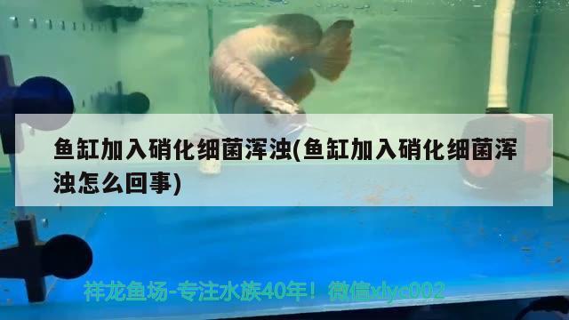 水族觀賞魚海水養(yǎng)殖水質(zhì)指標(biāo)有哪些，天津最大的海水魚珊瑚商鋪是哪