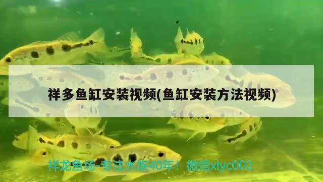 祥多魚缸安裝視頻(魚缸安裝方法視頻)