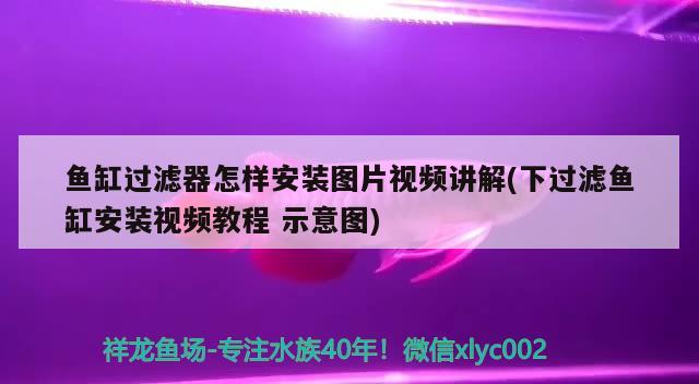 魚缸過濾器怎樣安裝圖片視頻講解(下過濾魚缸安裝視頻教程示意圖)