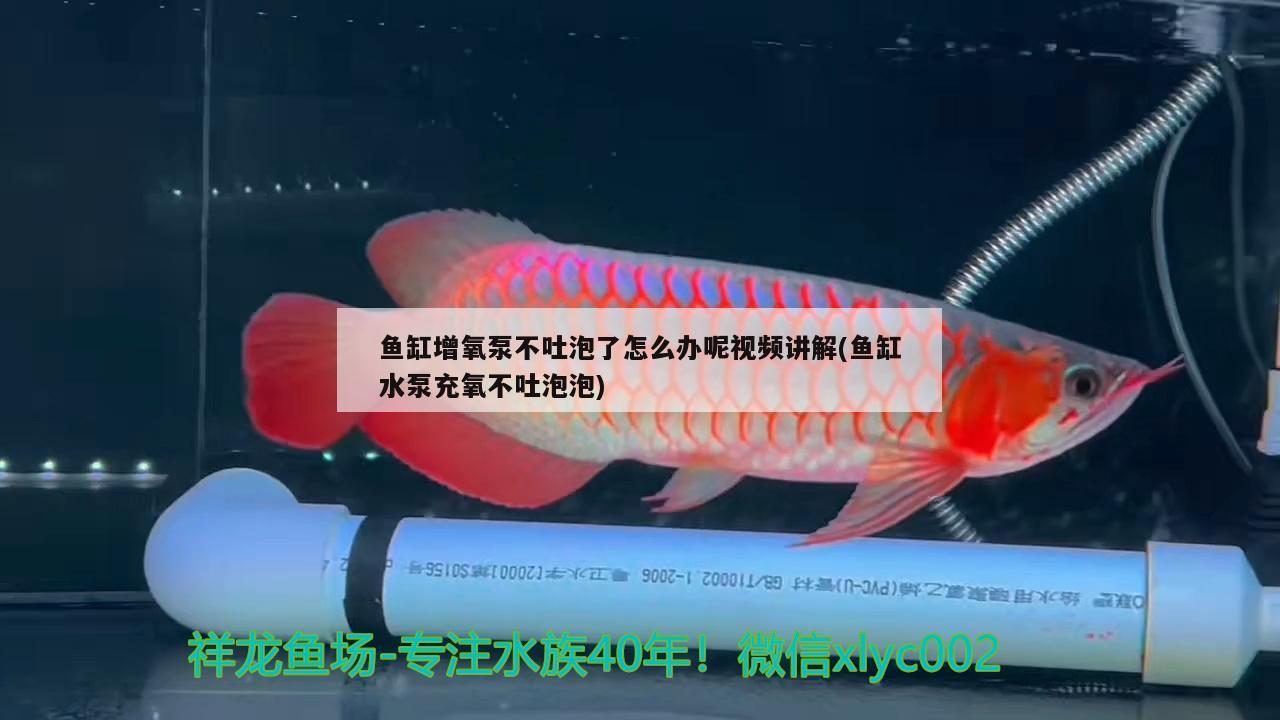 魚缸增氧泵不吐泡了怎么辦呢視頻講解(魚缸水泵充氧不吐泡泡) 魚缸水泵