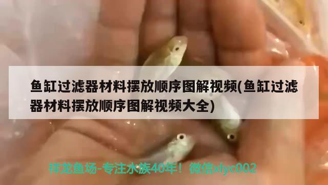 上海菱裝修，江蘇淮安有什么特產 養(yǎng)魚的好處 第2張