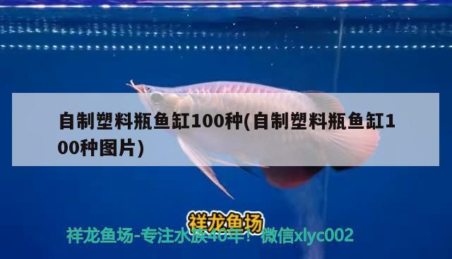 自制塑料瓶魚缸100種(自制塑料瓶魚缸100種圖片) 慈雕魚