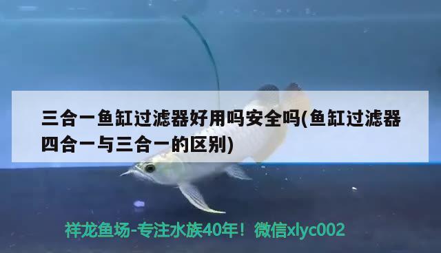 三合一魚缸過濾器好用嗎安全嗎(魚缸過濾器四合一與三合一的區(qū)別)