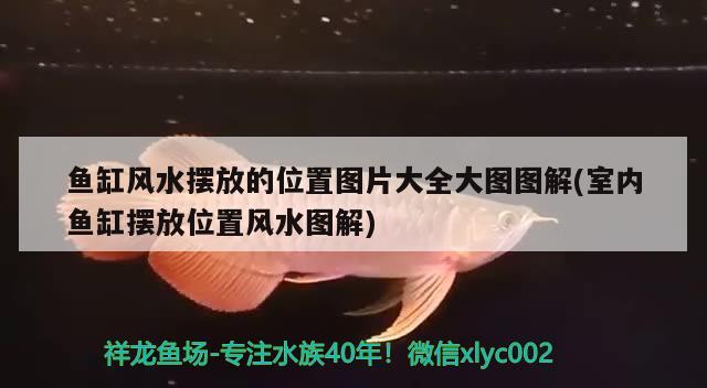 魚缸風水擺放的位置圖片大全大圖圖解(室內(nèi)魚缸擺放位置風水圖解) 魚缸風水