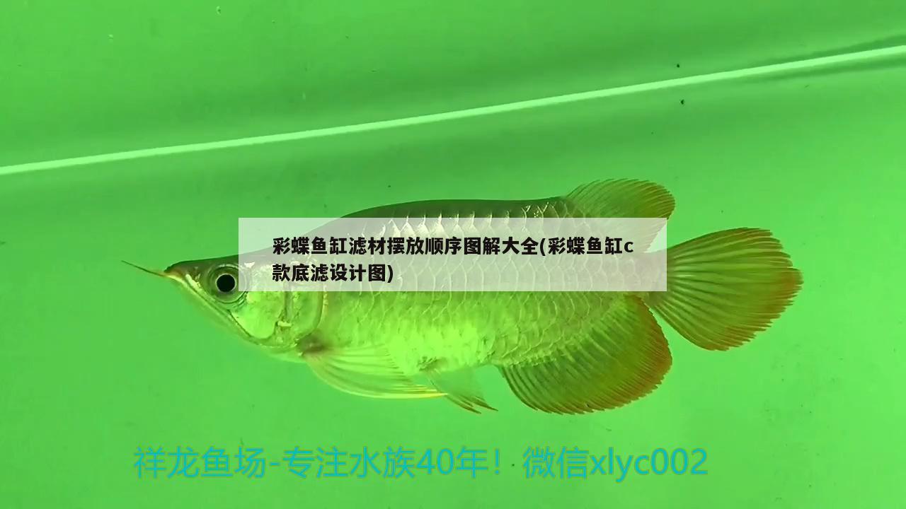 歷城區(qū)高祥觀賞魚經(jīng)營部 觀賞魚企業(yè)目錄 第3張