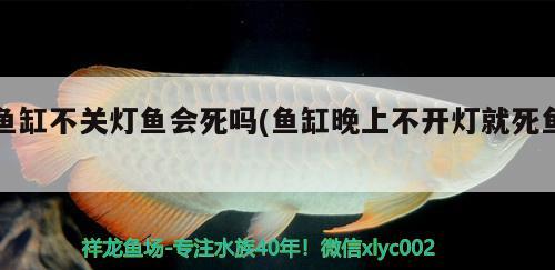 遼陽(yáng)市太子河區(qū)鑫盛養(yǎng)殖場(chǎng)（遼陽(yáng)市太子河區(qū)鑫盛養(yǎng)殖場(chǎng)地址）