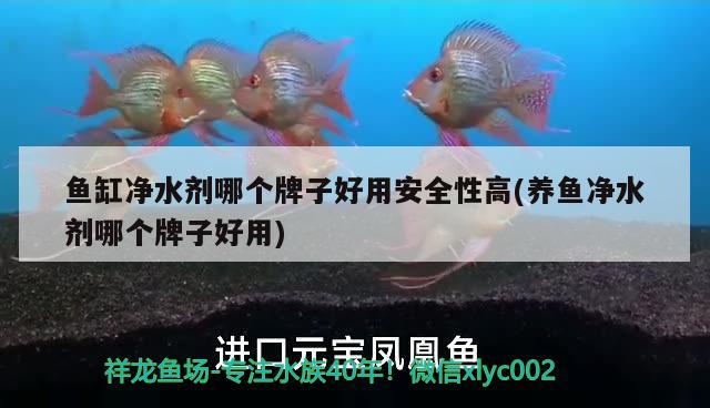 魚缸凈水劑哪個牌子好用安全性高(養(yǎng)魚凈水劑哪個牌子好用) 魚缸百科