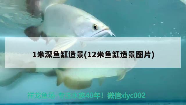 魚缸水泵嗡嗡響不抽水水位多少可以放水(魚缸抽水泵太響) 魚缸水泵