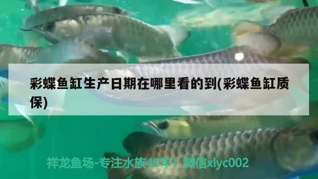 藍(lán)底金龍魚用什么顏色的燈好看點(diǎn)：金龍魚用藍(lán)色背景好嗎