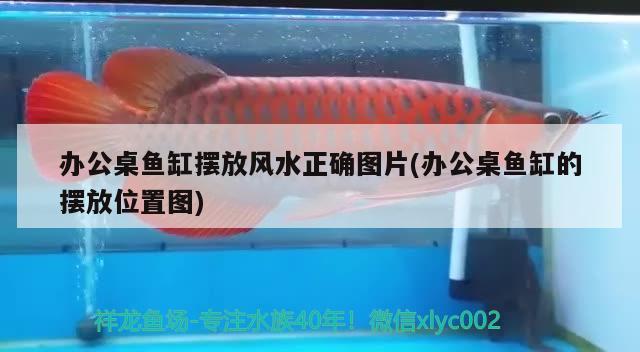 辦公桌魚缸擺放風水正確圖片(辦公桌魚缸的擺放位置圖) 魚缸風水