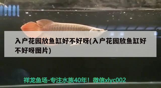 入戶花園放魚缸好不好呀(入戶花園放魚缸好不好呀圖片) 鸚鵡魚