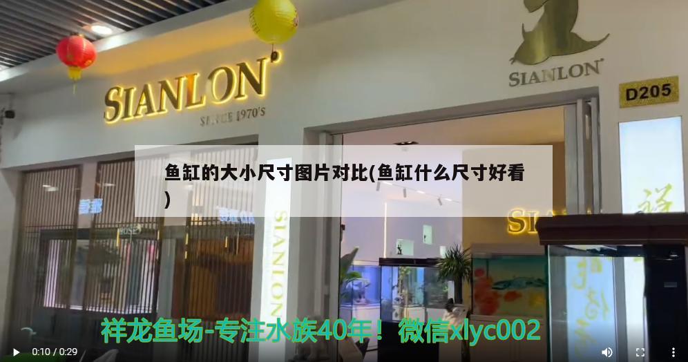 臨潁縣自然雨花卉店 全國水族館企業(yè)名錄 第2張