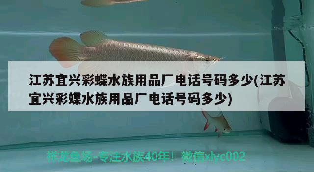 江蘇宜興彩蝶水族用品廠電話號碼多少(江蘇宜興彩蝶水族用品廠電話號碼多少) 水族用品