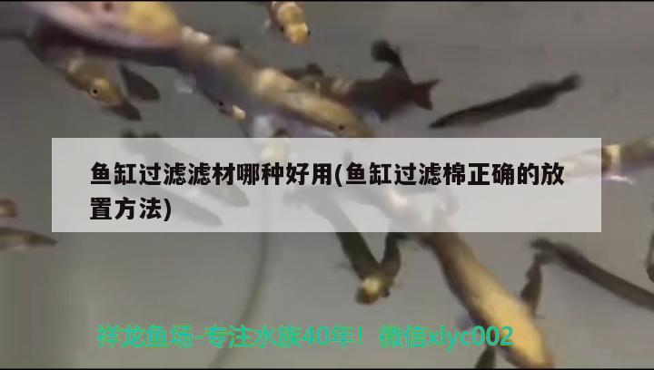 魚缸過濾濾材哪種好用(魚缸過濾棉正確的放置方法) 龍魚專用燈