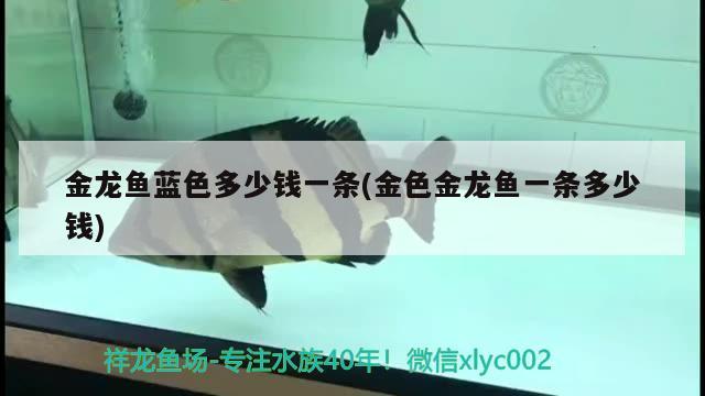 廈門水族箱魚缸廠家地址及電話（廈門水族箱魚缸廠家地址及電話號碼） 魚缸/水族箱 第1張