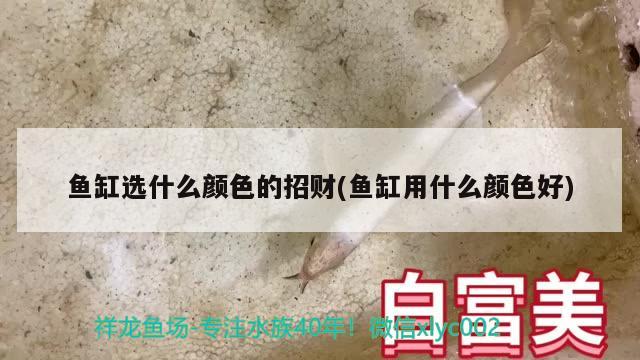 魚缸搬運(yùn)方法圖片視頻：魚缸搬動(dòng)技巧 廣州水族批發(fā)市場(chǎng) 第1張