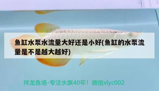 魚缸水泵水流量大好還是小好(魚缸的水泵流量是不是越大越好) 魚缸水泵