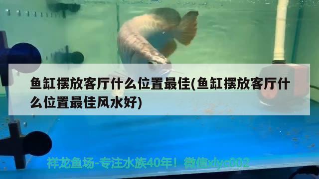 魚缸擺放客廳什么位置最佳(魚缸擺放客廳什么位置最佳風(fēng)水好) 魚缸風(fēng)水