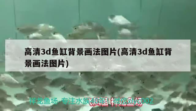 銀龍魚身上有氣泡：銀龍魚身上有氣泡怎么辦 銀龍魚百科 第2張