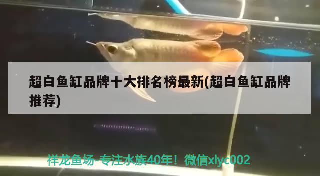 超白魚缸品牌十大排名榜最新(超白魚缸品牌推薦)