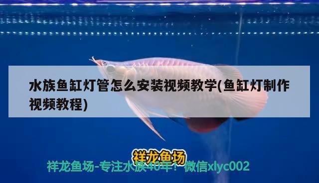 水族魚缸燈管怎么安裝視頻教學(xué)(魚缸燈制作視頻教程)