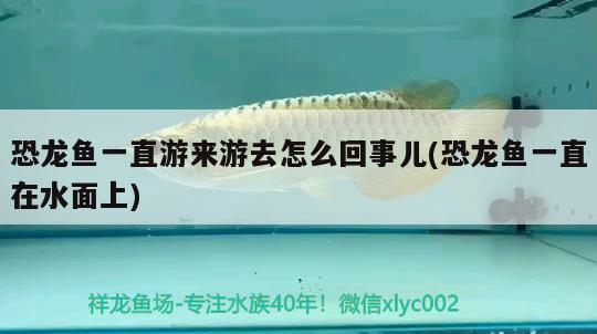 老魚(yú)匠插排(老魚(yú)匠插排怎么鏈接) 老魚(yú)匠 第3張