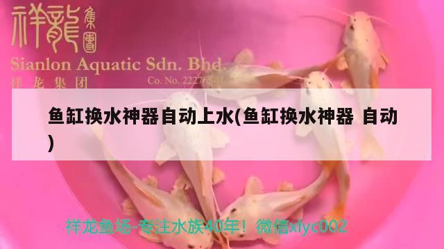 魚缸清洗神器怎么用的(魚缸清洗神器怎么用的啊) B級(jí)過背金龍魚