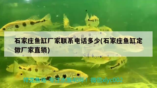 昌平魚缸清洗服務(wù)電話（ 昌平賣觀賞魚的地方） 錦鯉魚