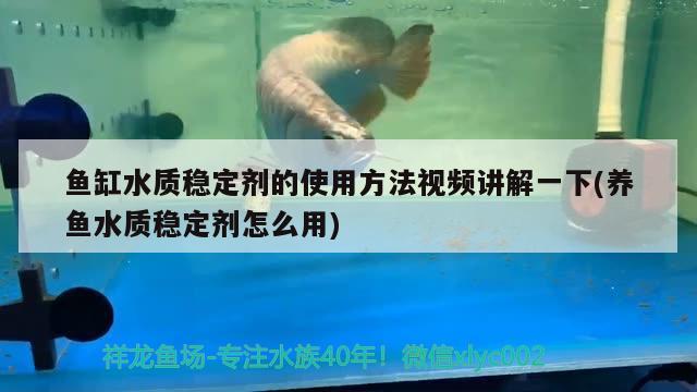 魚缸過濾材料哪家好(魚缸過濾材料哪個牌子好)