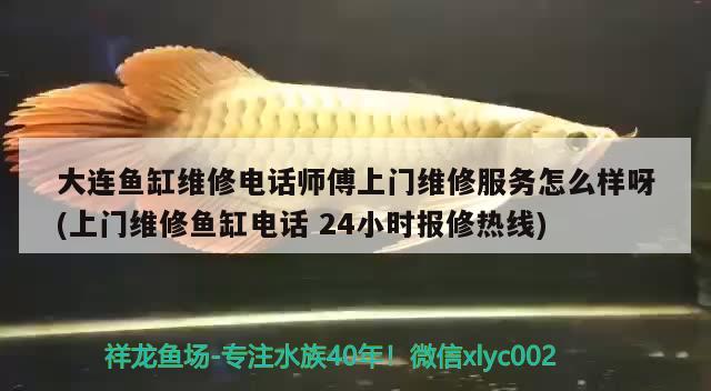 大連魚缸維修電話師傅上門維修服務(wù)怎么樣呀(上門維修魚缸電話24小時報修熱線)