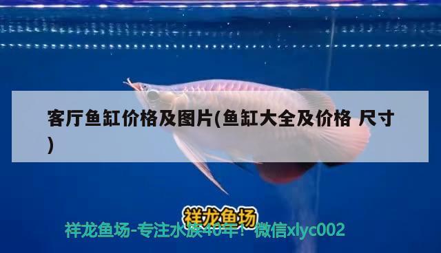 客廳魚缸價格及圖片(魚缸大全及價格尺寸) 帝王三間魚