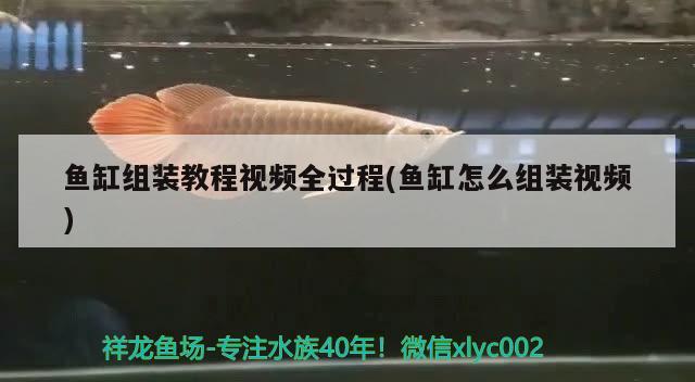 無(wú)錫觀賞魚(yú)市場(chǎng)紐利浦第二代三合一GL活力凈水寶強(qiáng)化魚(yú)缸護(hù)理12小時(shí)水清紐利浦凈水寶購(gòu)觀賞魚(yú)藥和