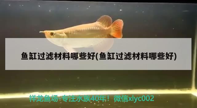 魚缸過濾材料哪些好(魚缸過濾材料哪些好) 魚缸風水