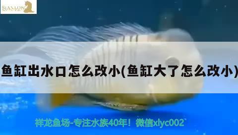 魚缸出水口怎么改小(魚缸大了怎么改小)