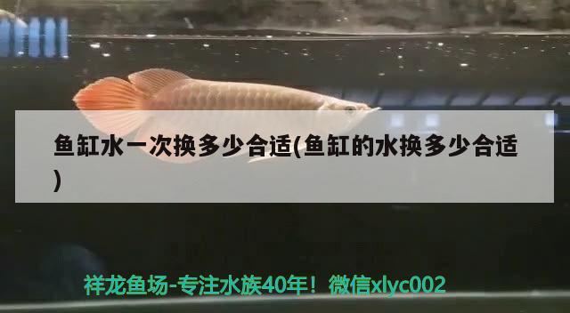 魚缸水一次換多少合適(魚缸的水換多少合適) 印尼虎苗