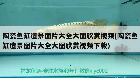 一米五長五十寬魚缸圖片(一米五魚缸尺寸是多少) 黑帝王魟魚