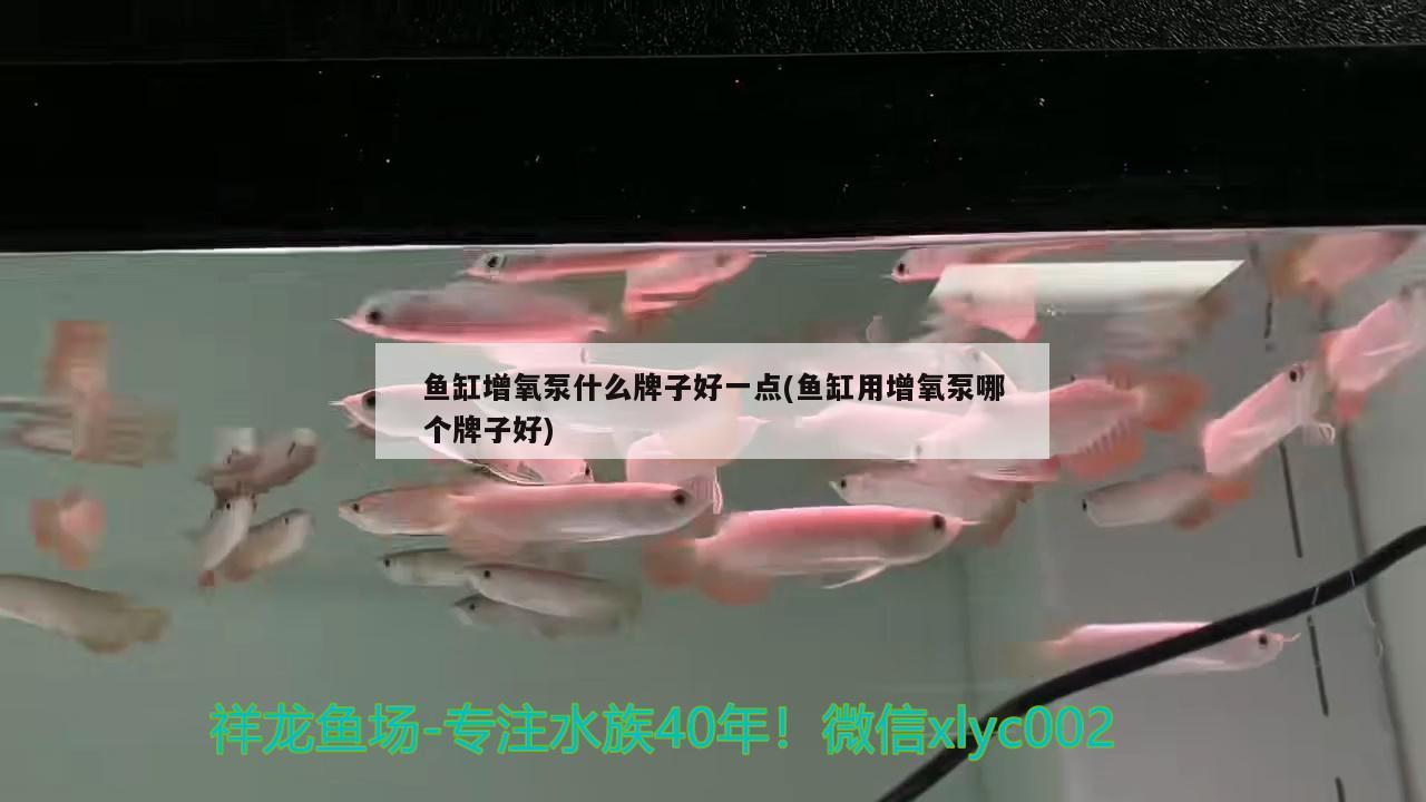 魚缸增氧泵什么牌子好一點(diǎn)(魚缸用增氧泵哪個(gè)牌子好) 水族燈（魚缸燈）