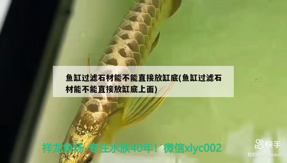 魚(yú)缸過(guò)濾石材能不能直接放缸底(魚(yú)缸過(guò)濾石材能不能直接放缸底上面) 泰國(guó)虎魚(yú)