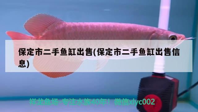 仙游哪里有賣魚缸的店子（仙游哪里有賣寵物狗的地方） 魚缸風(fēng)水 第2張