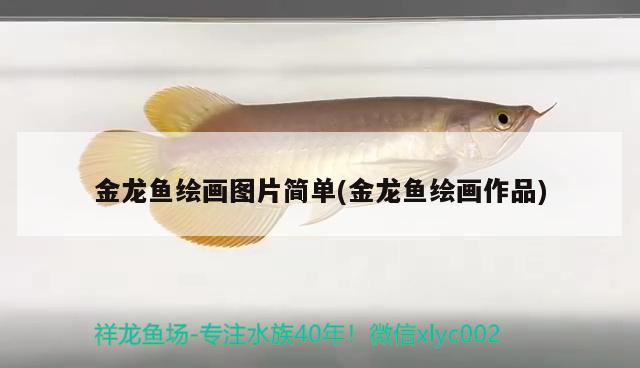 金龍魚繪畫圖片簡單(金龍魚繪畫作品) 女王大帆魚