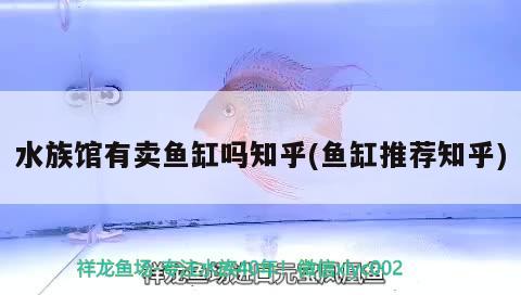 水族館有賣魚缸嗎知乎(魚缸推薦知乎) 充氧泵